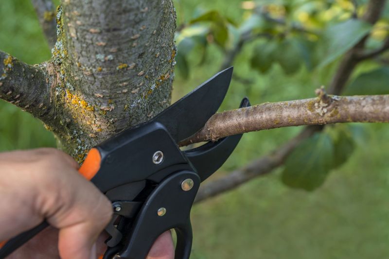 Tree Trimming detail